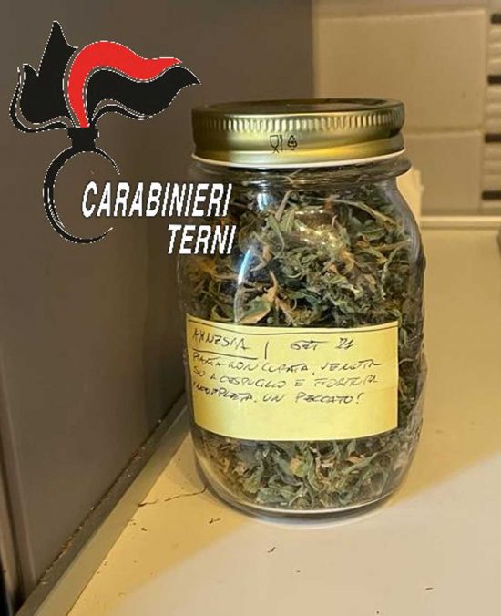 Terni - Carabinieri - I barattoli di marijuana divisi per tipologia