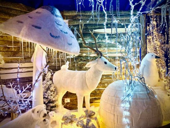 Il Regno di Babbo Natale di Vetralla