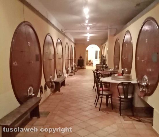 Montefiascone - Cantina Leonardi 