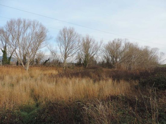 Il parco di Vulci