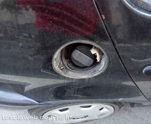 Viterbo - Atti di vandalismo alla Quercia