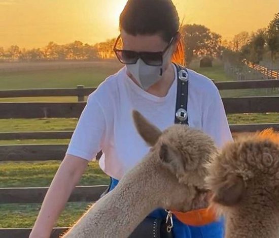 Tarquinia - Laura Pausini ai Piani degli Alpaca