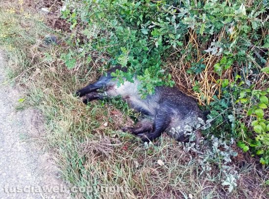 Schermata-2021-10-03-alle-11.37.04