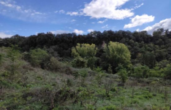 Civita Castellana - L'area di accesso al tempo di Giunione