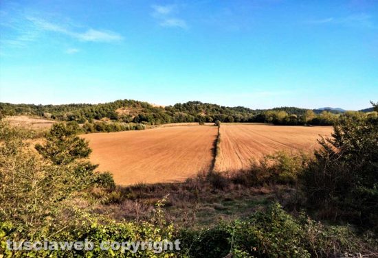 Campagna