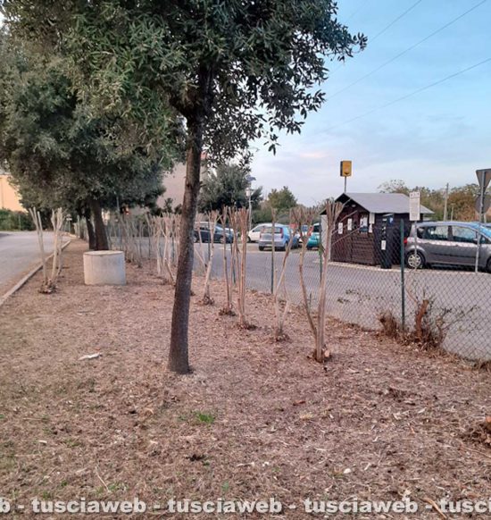 Orte - Il parcheggio di Molegnano ripulito