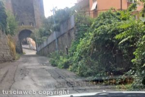 Viterbo - Incuria in via San Biele