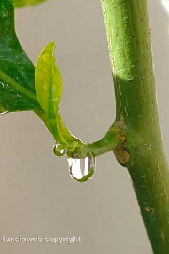 WhatsApp-Image-2021-10-06-at-20.31.40-(1)