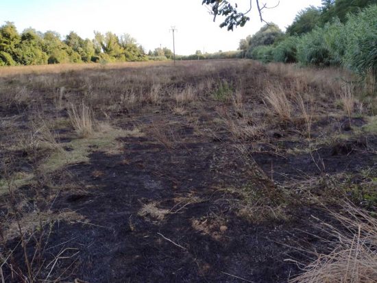 Incendio a San Lorenzo nuovo - Protezione civile sul posto