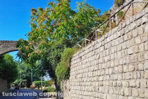 Viterbo - Incuria nel giardino pensile adiacente a Porta Fiorita
