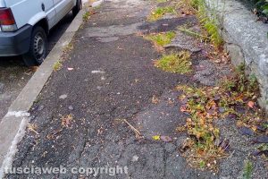 Viterbo - Incuria lungo i marciapiedi da via Vicenza a via Cattaneo