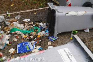 Viterbo - Cassonetti rovesciati dai cinghiali in via I Maggio