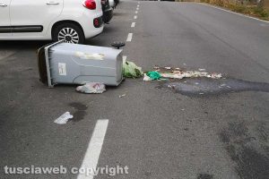 Viterbo - Cassonetti rovesciati dai cinghiali in via I Maggio
