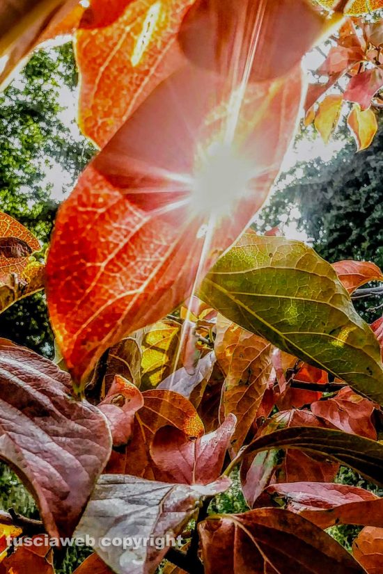 WhatsApp-Image-2021-10-12-at-12.40.38-(1)