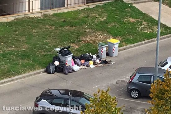 Viterbo - Rifiuti in largo Sibilla Aleramo