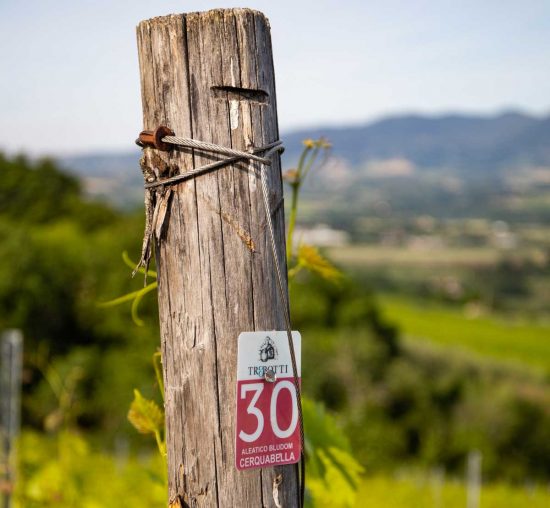 Azienda biologica Trebotti