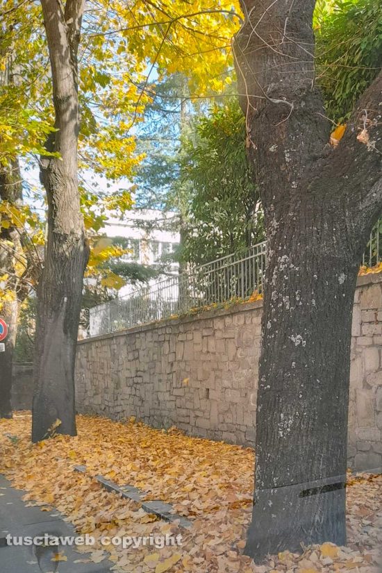 WhatsApp-Image-2021-10-28-at-09.59.13-(1)