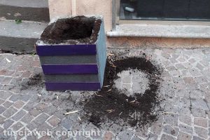 Ladri di piante in via Saffi