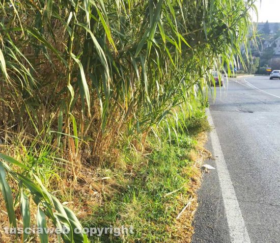 Marciapiedi in strada Bagni