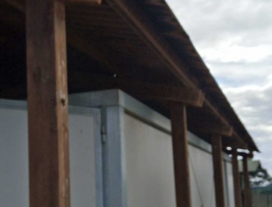 Il canile di Montalto di Castro