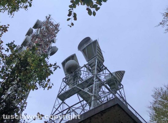 Le immagini del bosco scattate da Egle Sirtautaite e Bogdan Gligor