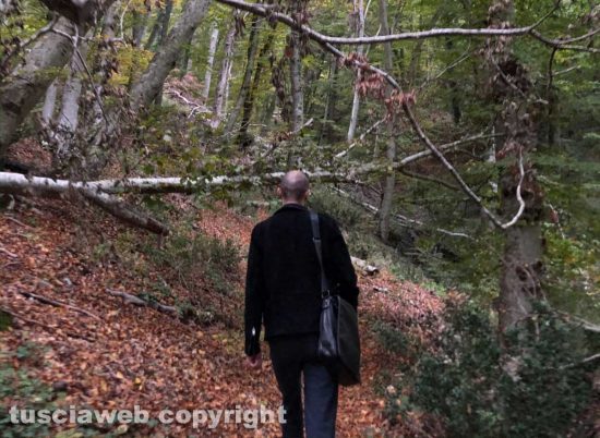 Le immagini del bosco scattate da Egle Sirtautaite e Bogdan Gligor