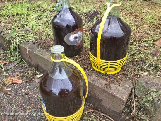 Viterbo - Olio esausto abbandonato sotto casa