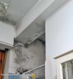 Viterbo - I danni in casa di Anna Cozzolino