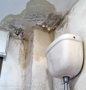 Viterbo - I danni in casa di Anna Cozzolino