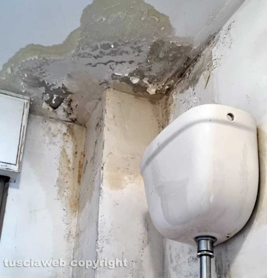 Viterbo - I danni in casa di Anna Cozzolino