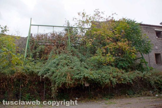 Viterbo - La zona di Sallupara