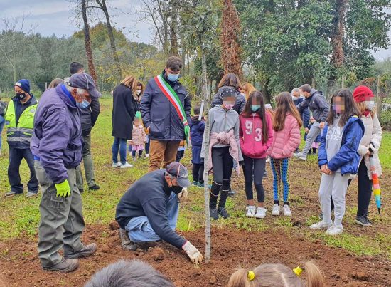 Bassano in Teverina - Festa dell'albero
