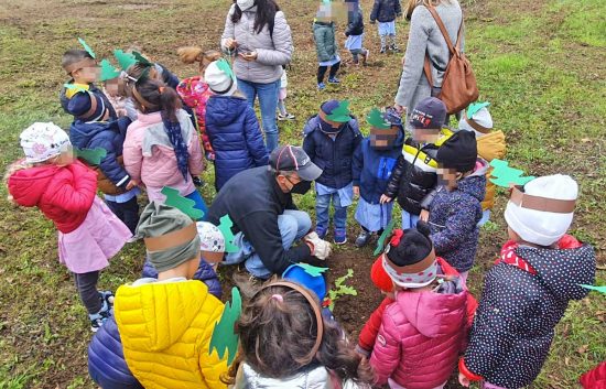 Bassano in Teverina - Festa dell'albero