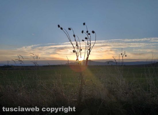 La campagna di Viterbo all'alba