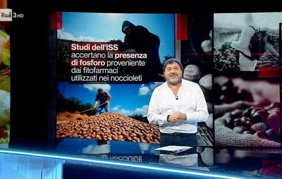 Report - Il servizio sulle nocciole dei Cimini