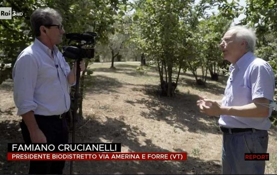 Famiano Crucianelli a Report