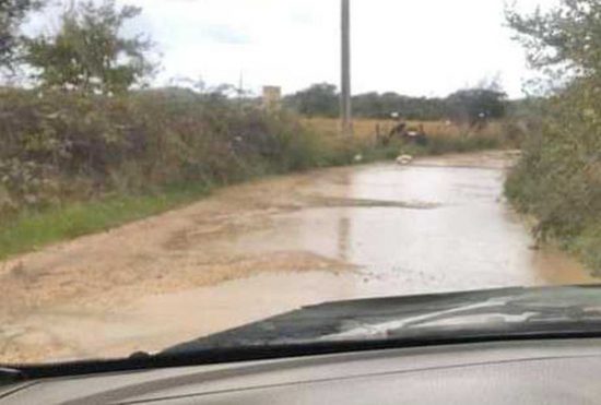 Il canile di Montalto di Castro - La strada