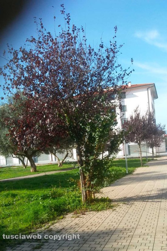 WhatsApp-Image-2021-11-03-at-17.00.53-(2)