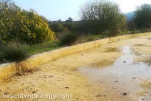 Viterbo - Il Bullicame