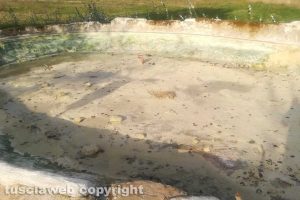 Viterbo - Il Bullicame