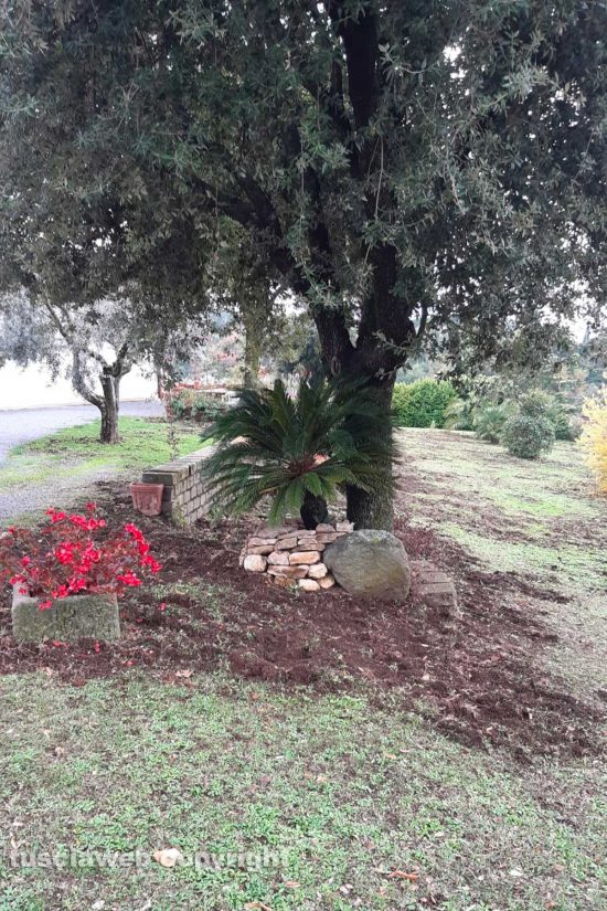 Giardino divelto dai cinghiali