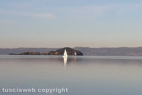 WhatsApp-Image-2021-11-20-at-16.14.08