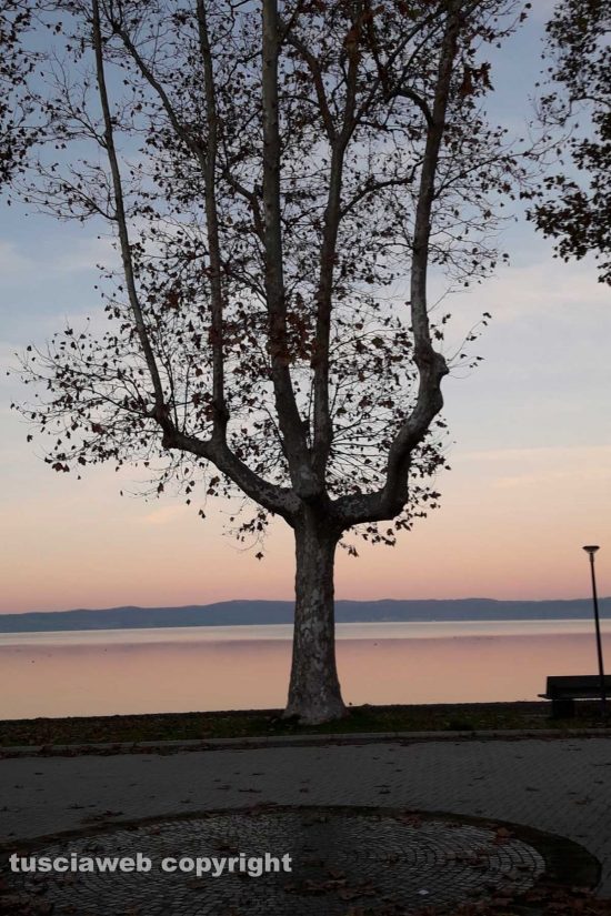 WhatsApp-Image-2021-11-20-at-16.44.00