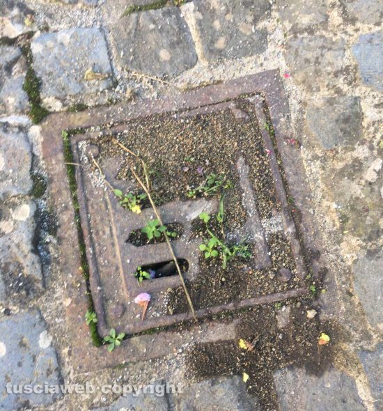 San Martino al Cimino - Tombini otturati al cimitero