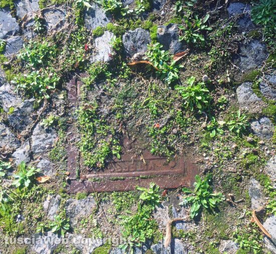 San Martino al Cimino - Tombini otturati al cimitero