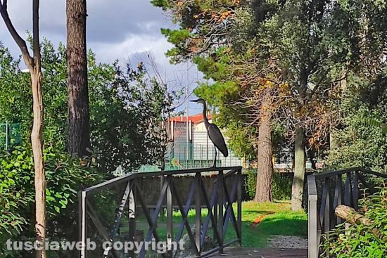 WhatsApp-Image-2021-11-27-at-12.01.27-(1)