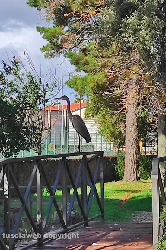 WhatsApp-Image-2021-11-27-at-12.01.27