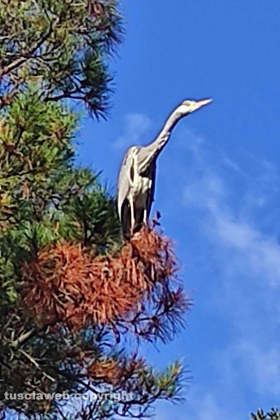 WhatsApp-Image-2021-11-27-at-12.01.28