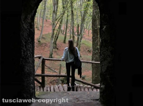 Le immagini del bosco scattate da Egle Sirtautaite e Bogdan Gligor