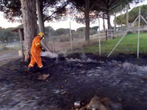 Tarquinia - Incendio a San Giorgio